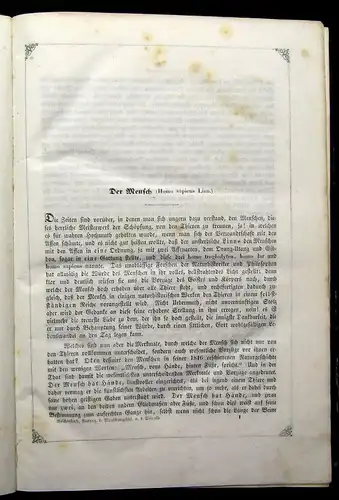 Reichenbach Praktische Naturgeschichte der Menschen und Säugethiere 1855