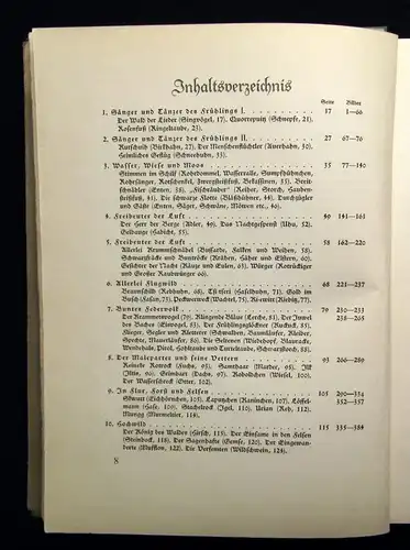 Vetterli Wald und Wild Belletrsitik Geschichten Waldgeschichten 1928 Erzählungen