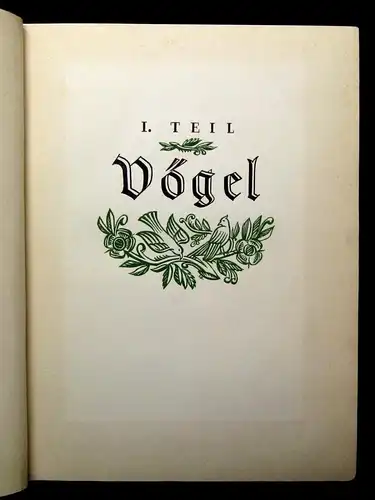 Vetterli Wald und Wild Belletrsitik Geschichten Waldgeschichten 1928 Erzählungen