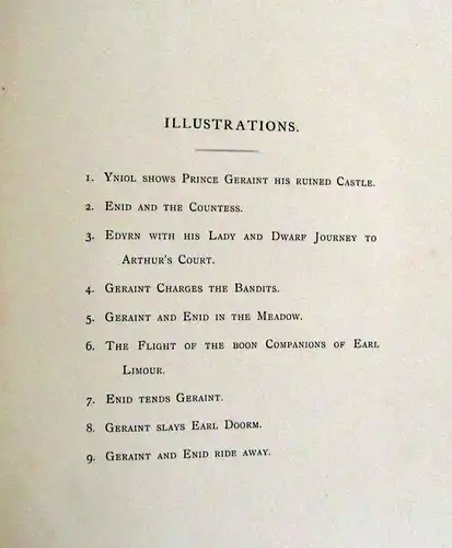 Tennyson Alfred Enid 1868 Gustav Dore dekorativ Rundumgoldschnitt 9 Tafeln