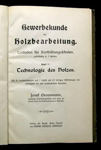 Grossmann Gewerbekunde der Holzbearbeitung Bd.1 Technologie des Holzes selten