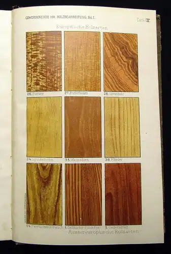 Grossmann Gewerbekunde der Holzbearbeitung Bd.1 Technologie des Holzes selten