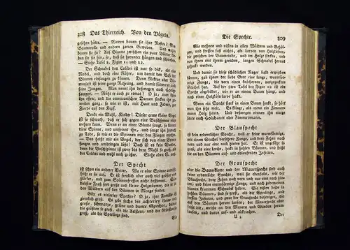 Raff Naturgeschichte für Kinder 1818 mit 14 Kupfertafeln Wissen Natur Tiere