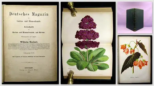 Neubert Deutsches Magazin für Garten-u. Blumenkunde Zeitschrift 1872