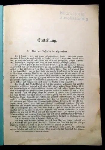 Schreibers kleine Atlanten Der Bau der Schmetterlinge Entwicklungsstadien 1925