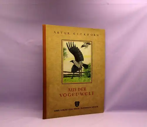 Kreeb, Eickhorn Aus der Vogel- Welt 1949 Ornithologie Naturwissenschaften Arten