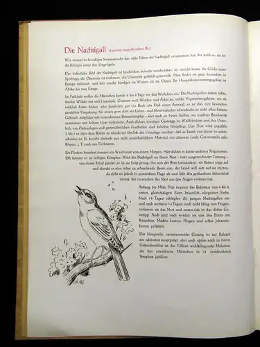 Kreeb, Eickhorn Aus der Vogel- Welt 1949 Ornithologie Naturwissenschaften Arten