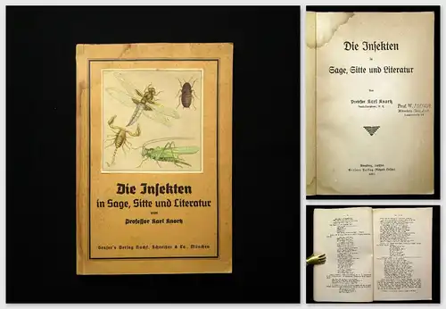 Knortz Die insekten in Sage Sitte und Literatur 1910 Naturwissenschaft Tiere