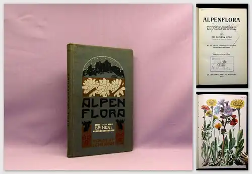 Hegi Alpenflora Die verbreitetsten Alpenpflanzen von Bayern, Österreich 1922