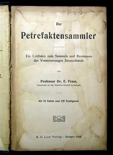 Fraas Der Petrefaktensammler Leitfaden zu Versteinerungen Deutschlands 1910
