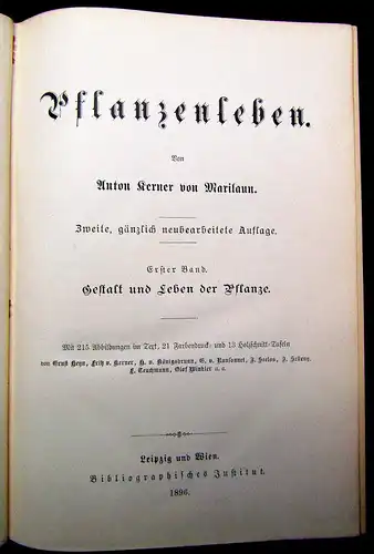 Kerner Pflanzenleben 2 Bde. Gestalt und Leben der Pflanze u.a. 1896/98 Botanik