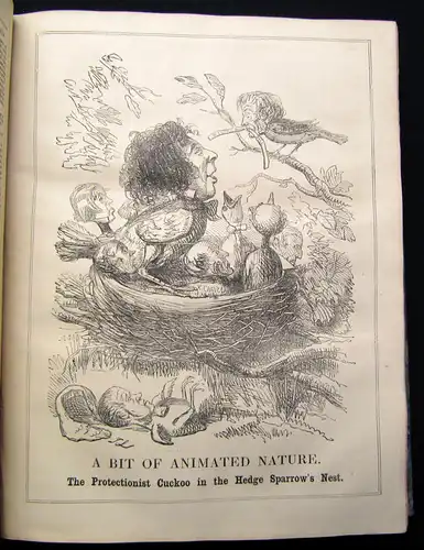 Punch Vol XXII u XXIII Europa Asien Afrika Amerika 2 in 1  1852 englisch Satire