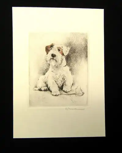 Neumann teilkolorierte Radierung Terrier mit Knochen um 1910 11 x 9 cm signiert