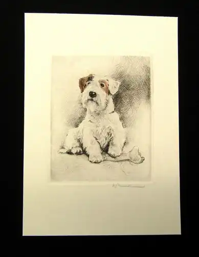 Neumann teilkolorierte Radierung Terrier mit Knochen um 1910 11 x 9 cm signiert