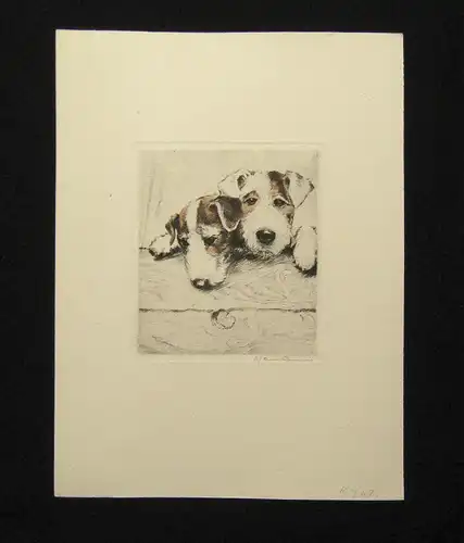 Neumann teilkolorierte Radierung süße Terrier um 1910 10 x 11 cm signiert