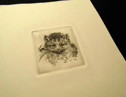 Radierung süßes Babykätzchen, niedliche Katze um 1920 unbek.Künstler 7 x7 cm