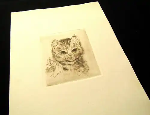 Radierung süßes Babykätzchen, niedliche Katze um 1920 unbek.Künstler 9 x 9 cm