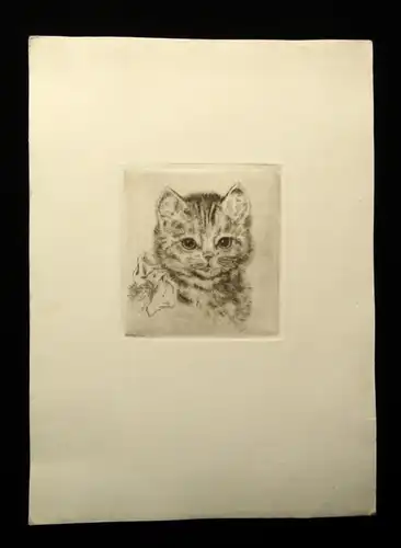 Radierung süßes Babykätzchen, niedliche Katze um 1920 unbek.Künstler 9 x 9 cm