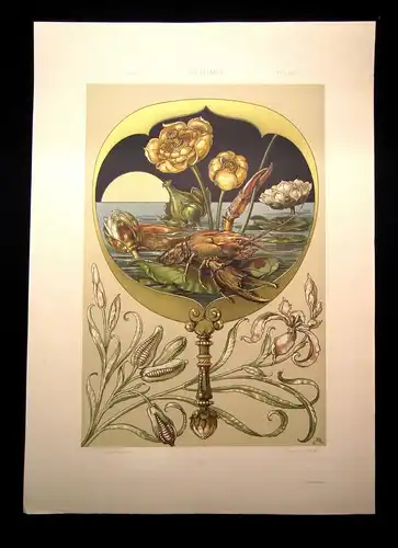 "Die Pflanze" in Kunst u. Gewerbe 1886 Pl. 51 Seerose u. Schwertlilie A. Seder