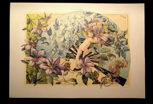 "Die Pflanze" 1886 Pl. 160 Lithographie Waldrebe(Clematis) von E.Unger