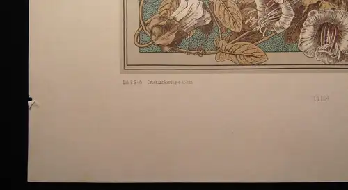 "Die Pflanze" in Kunst und Gewerbe 1886  Pl. 164 Photolithographie J.Ulrich