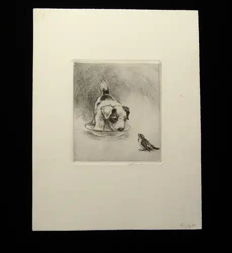 Neumann teilkolorierte Radierung süßer Terrier um 1910 10 x 11 cm signiert