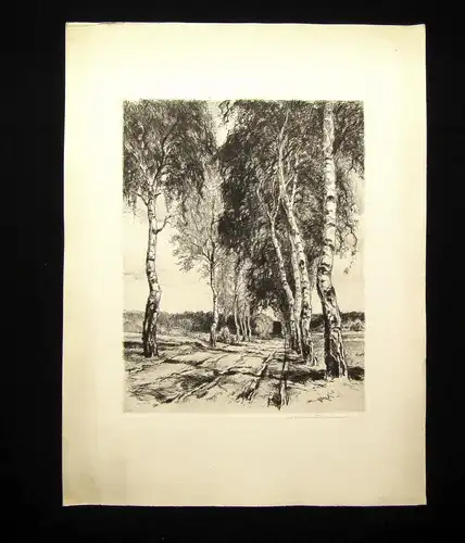 Neumann Radierung Birken Allee Landschaft um 1910 unten rechts signiert 26x20 cm
