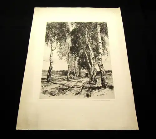 Neumann Radierung Birken Allee Landschaft um 1910 unten rechts signiert 26x20 cm