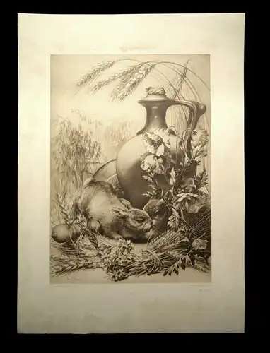 "Die Pflanze" 1886 Pl. 68 von F. Sturm Heliogravüre Naturalistisch