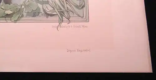 "Die Pflanze " 1886 Pl. 95 Lithographie Aaronstab von E. Unger Lithographie