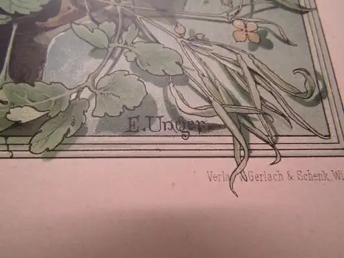 "Die Pflanze " 1886 Pl. 95 Lithographie Aaronstab von E. Unger Lithographie