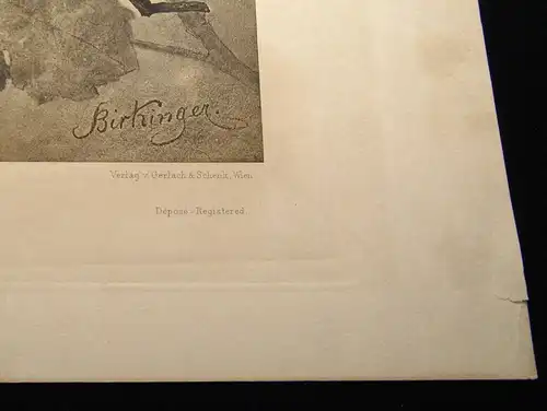 "Die Pflanze " 1886 Pl. 165Weinstock, Epheu Heliogravüre von Xaver Birkinger