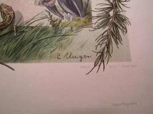 "Die Pflanze" 1886 Pl. 86 Naturalistisch Lithographie Lärche,Pilze,Eibe E.Unger