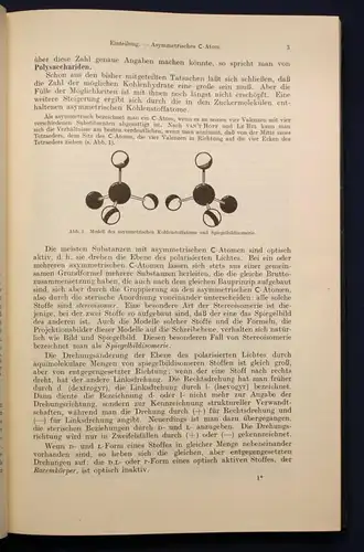 Lehnartz Einführung in die chemische Physiologie 1952 Geschichte Wissen sf