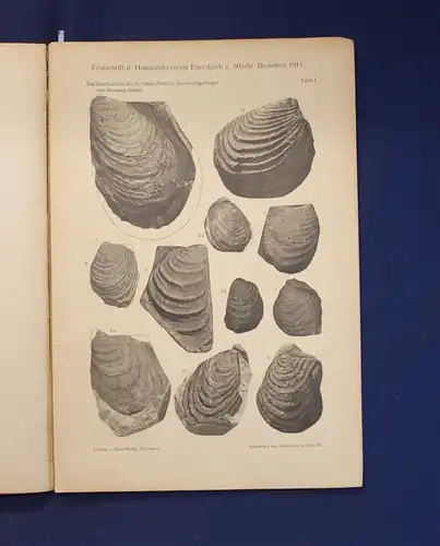 Humboldt-Verein Ebersbach Festschrift zur Feier des 50 jähr. Bestehens 1911 js