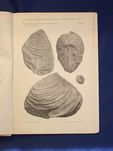 Humboldt-Verein Ebersbach Festschrift zur Feier des 50 jähr. Bestehens 1911 js