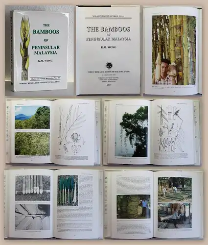 Wong The Bamboos of Peninsular Malaysia 1995 Dendrologie Baumkunde Bambus xz