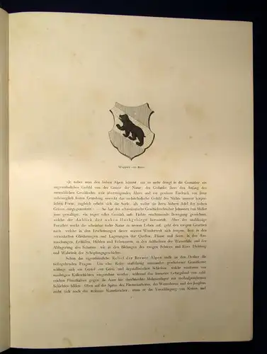 Fels Die Schweiz 2. Bd. apart Von Bern über Basel nach dem Osten um 1880 js