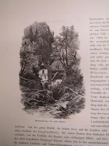 Fels Die Schweiz 2. Bd. apart Von Bern über Basel nach dem Osten um 1880 js