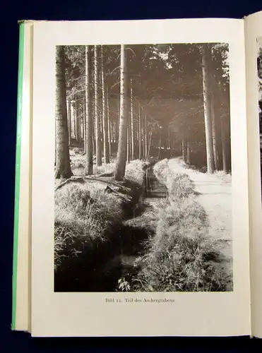 Werte der deutschen Heimat Um Altenberg, Geising und Lauenstein 1964  Bd 7 mb