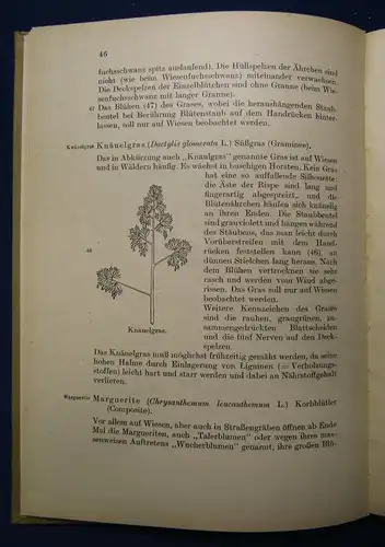 Anleitung zur Durchführung 1952 Nr. 5 Jahreszeiten Natur Phänomene Forschung  js