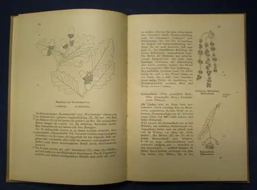 Anleitung zur Durchführung 1952 Nr. 5 Jahreszeiten Natur Phänomene Forschung  js