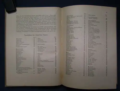 Anleitung zur Durchführung 1952 Nr. 5 Jahreszeiten Natur Phänomene Forschung  js