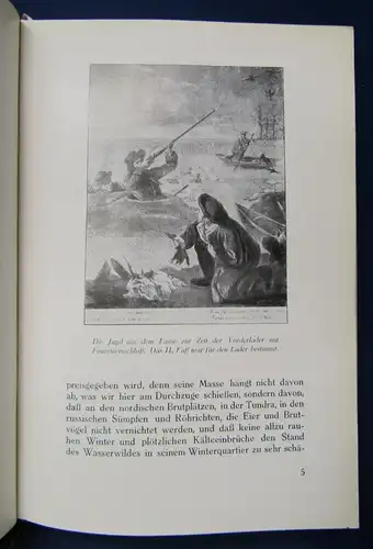 Buchheim Jagd auf Wasserwild 1930 Luxusausgabe Exemplar 14/ 50 Schützen js