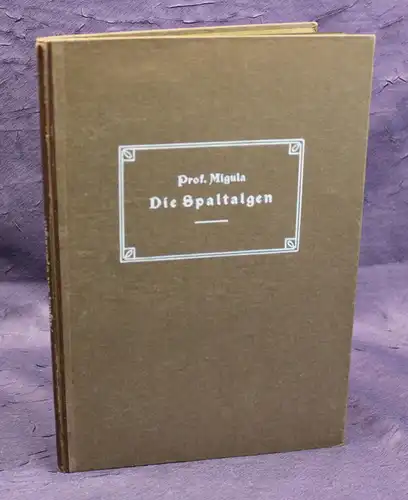 Migula Die Spaltalgen Band 12 um 1925, 5 Tafeln  Ichthyologie, Gewässer js