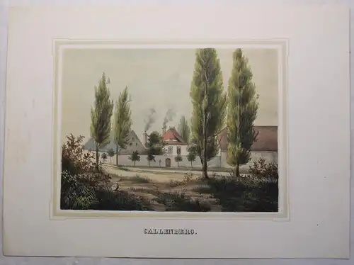 Lithografie Callenberg Ansicht Poenicke Schlösser & Rittergüter Sachsen um 1855