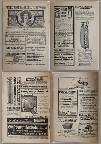 Sächsischer Landes-Obstbauverein: Zeitschrift für Obst- und Gartenbau 1919-1922