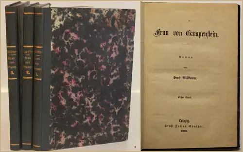 Willkomm Frau von Gampenstein 3 Bde 1865 Literatur Erzählungen Roman sf