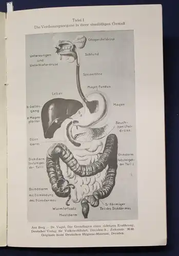 Fassbender Ernährungskunst als Lebenskunst Ethik und Hygiene 1927 js