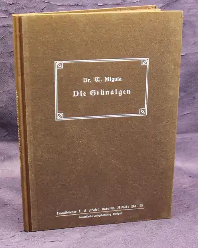 Migula Die Grünalgen Ein Hilfsbuch für Anfänger illustriert, 8 Tafeln um 1926 js